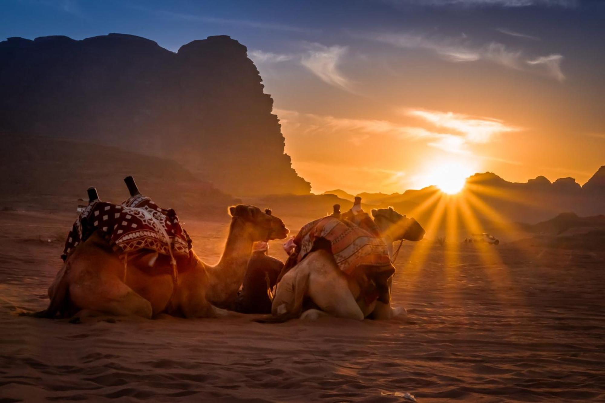 Wadi Rum Mundo Camp Aqaba Exterior photo